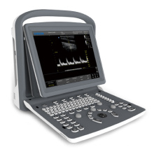 Ultraschall Ultraschall-Scanner schwarz weiße Doppler Laptop Portable (SC-ECO2)
